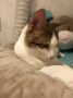 Spotty_Lotti (4)